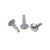 Truss head self drilling screw