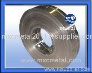 titanium strip