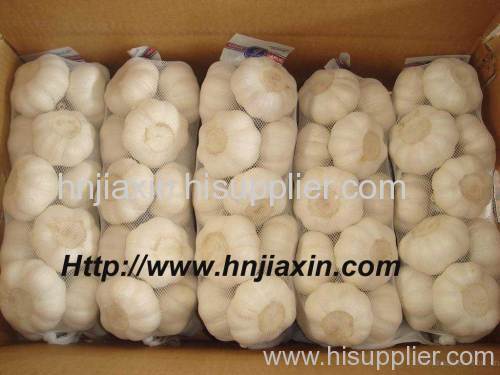 White Garlic (1kgs mesh bag)