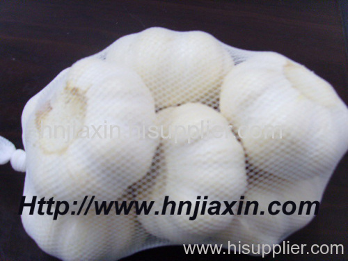 Normal White Garlic (500g mesh bag)