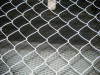 chain link fence mesh