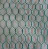 hexagonal wire mesh