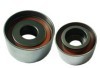 Automobile Tensioner Bearing