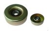 Automobile Tensioner Bearings