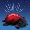 Amazing Star Sky Night Twilight Ladybug