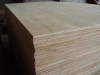 Hardwood Plywood