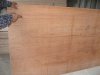 Plywood core eucalyptus face keruing