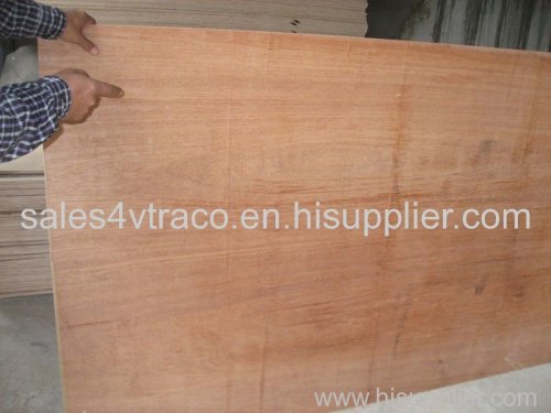 Plywood core eucalyptus face keruing