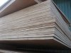 Plywood for construction and real estate