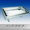 TL8 induction lamp