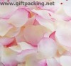 Silk Rose Petal