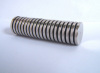 Disc Neodymium Magnet