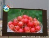 Led Display Series