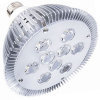 PAR38 LED Lamp