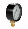 standard pressure gauge