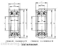 SPECIAL BEARING