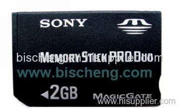 Memory Stick Pro-Duo