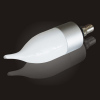 E27 LED BULBs