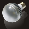 LED BULB