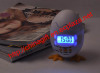 Poppy Chick Egg Alarm Clock Timer