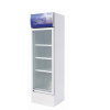 Vertical Refrigerator Showcase