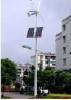 35W wind & solar street light