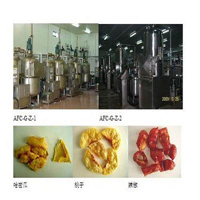 Jackfruit Chip Processing Machine