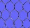 Hexagonal Wire Mesh