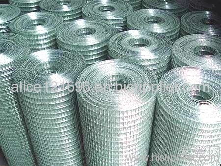 Galvanized Welded Wire Mesh