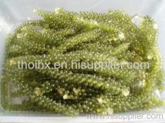 Seagrape/green caviar