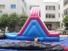 back ladder water slide+ pool+ single slideway