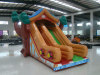 house slide/ bouncy castle slid