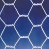 PVC coated chain link fence