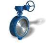 Stainless steel AISI 304 din butterfly valve