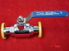 Fixed Ball Valve