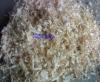 Sawdust for animal bedding