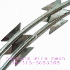 Double coil barbed wire