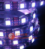 500cm 60LEDs/M waterproof 5050 LED strip light