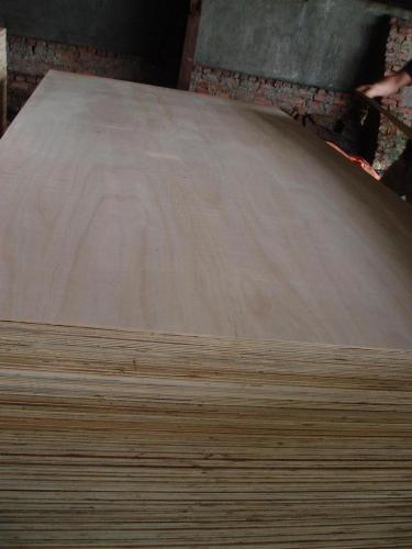 Acacia Plywood For Construction