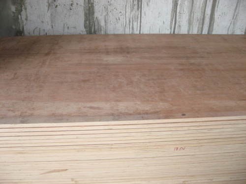 Construction Acacia plywood