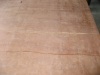 Timber Acacia plywood