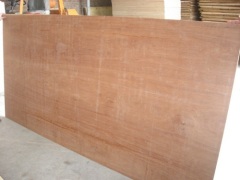 Timber Keruing Plywood