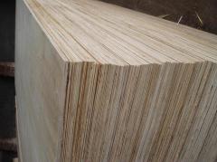 Plank Acacia plywood 12mm