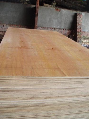 Timber Commercial Plywood