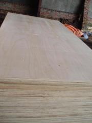 Commercial plywood 18mm
