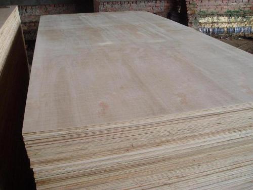 Tropical plywood 9mm
