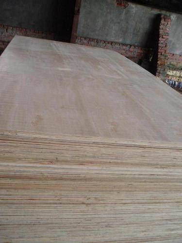 Tropical plywood 12mm