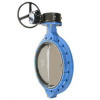 Butterfly Valve with flange