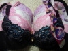 1.7USD High Quality Bras