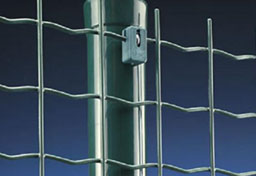 Euro welded fence